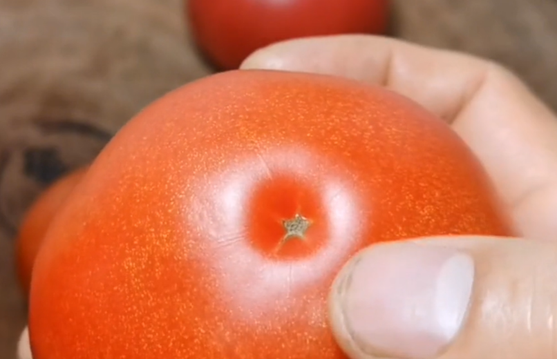 西红柿也分“公母”？怎么挑选?教你4招，皮薄肉厚汁多，一挑准